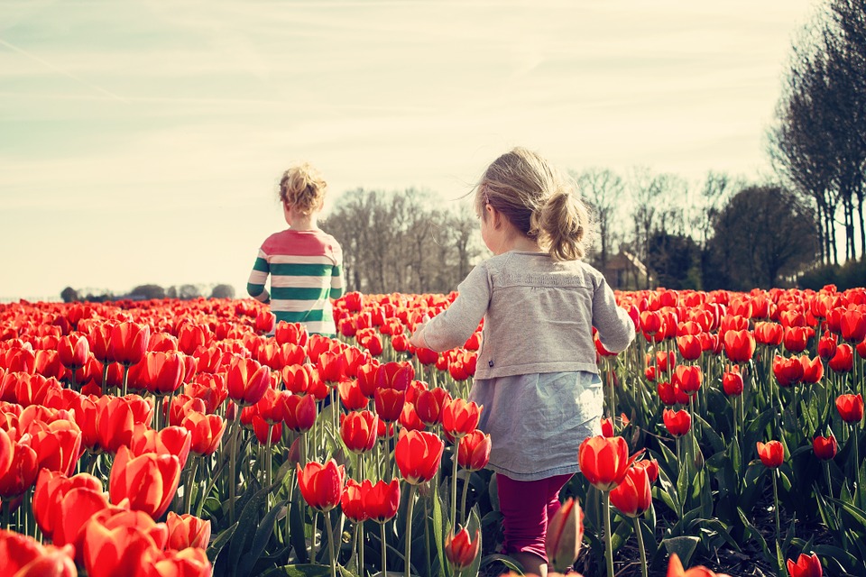 Niños y naturaleza